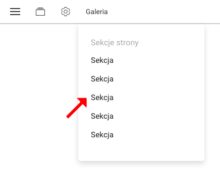 ustawienia sekcji na stronie